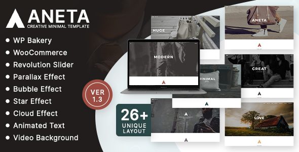 Aneta Agency Startup Agency WordPress Theme