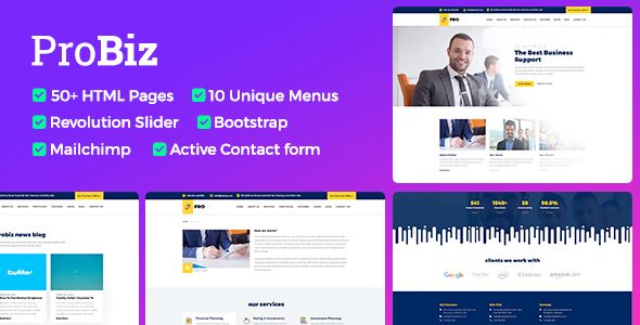 Probiz - Responsive Business HTML Template